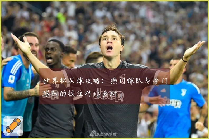 世界杯买球攻略：热门球队与冷门球队的投注对比分析