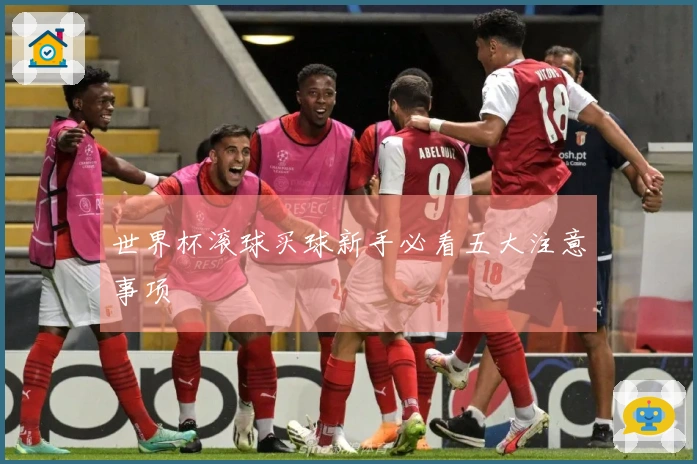 世界杯滚球买球新手必看五大注意事项