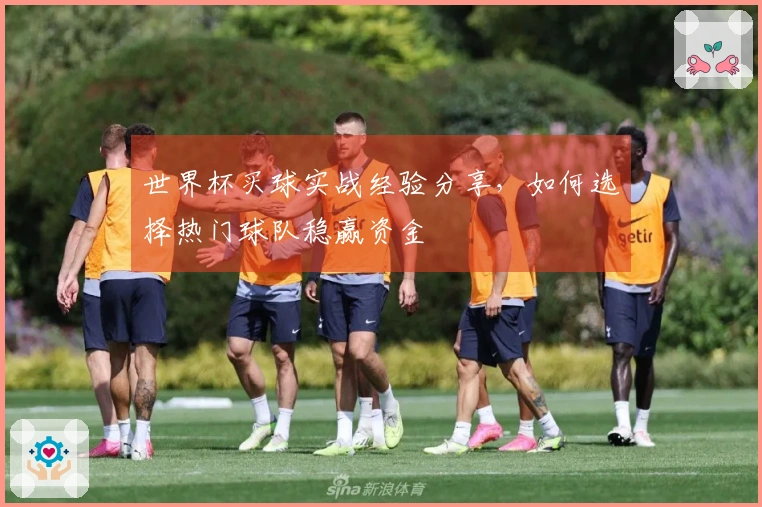 世界杯买球实战经验分享，如何选择热门球队稳赢资金
