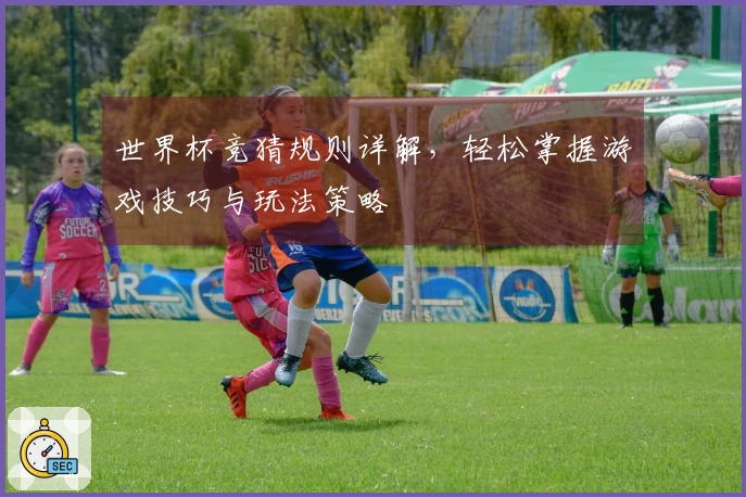 世界杯竞猜规则详解，轻松掌握游戏技巧与玩法策略