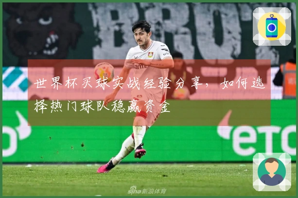 世界杯买球实战经验分享，如何选择热门球队稳赢资金