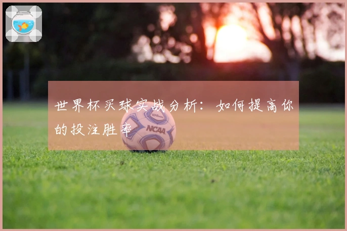 世界杯买球实战分析：如何提高你的投注胜率