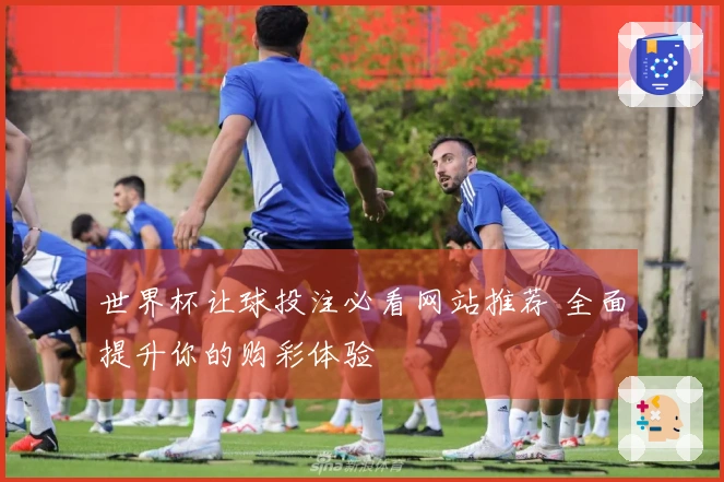 世界杯让球投注必看网站推荐 全面提升你的购彩体验